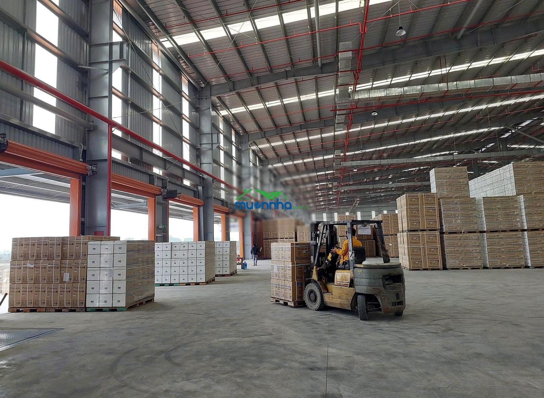 Cho thuê kho, quản lý vận hành và dịch vụ phân phối tại thuận an, bình dương. lh: 0949 187 ***