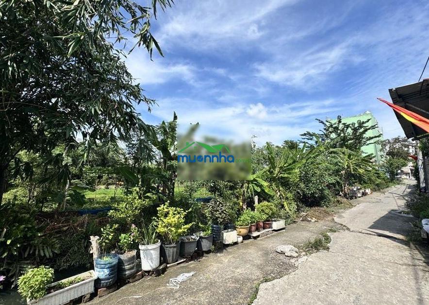 Dãy trọ 17 phòng vườn lài, an phú đông, 368m2 (10.6 x 35m) 16.888 tỷ