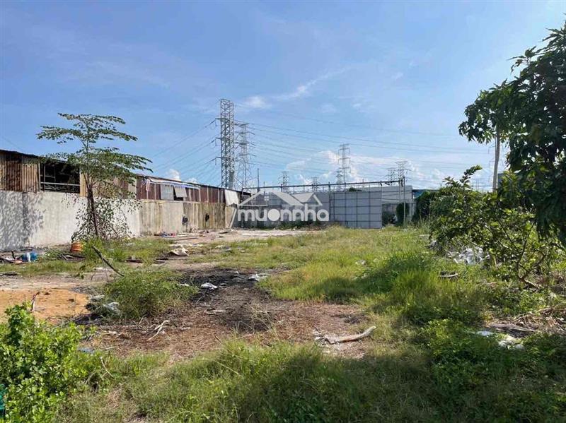Cho thuê đất rộng giá rẻ bèo tại phạm hữu lầu- nhà bè- sát q7