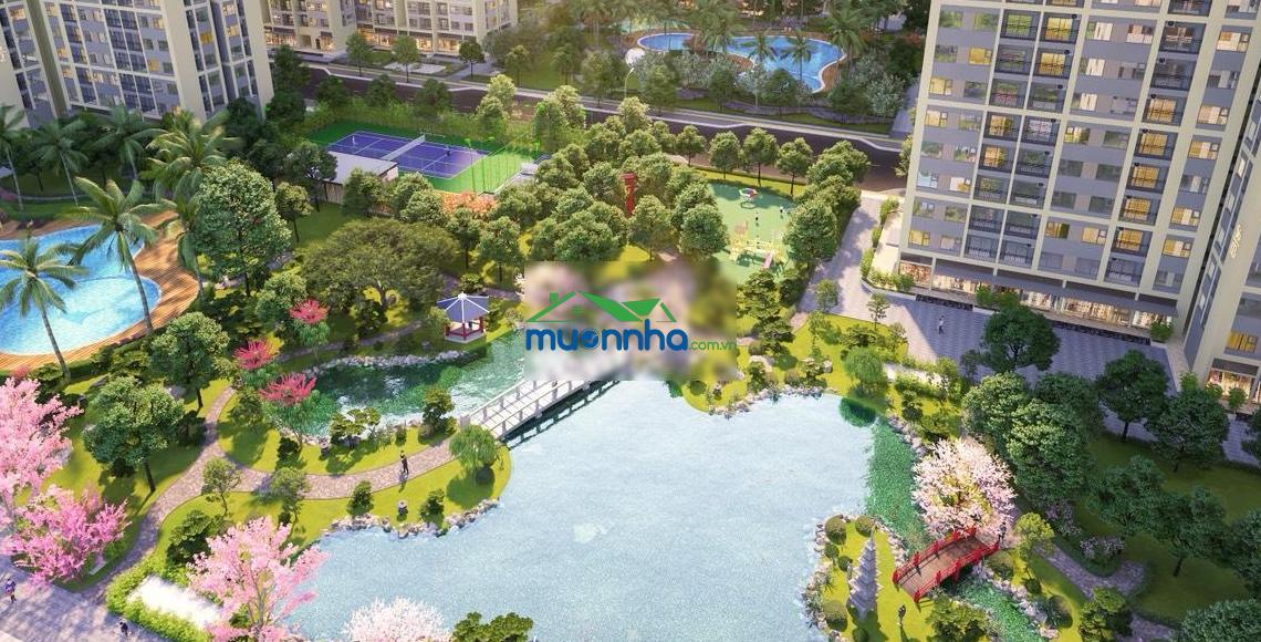 Siêu hiếm! căn hộ 1n+1 chính chủ cần sang nhượng, view hồ cá koi, vượng lộc tràn đầy - 2