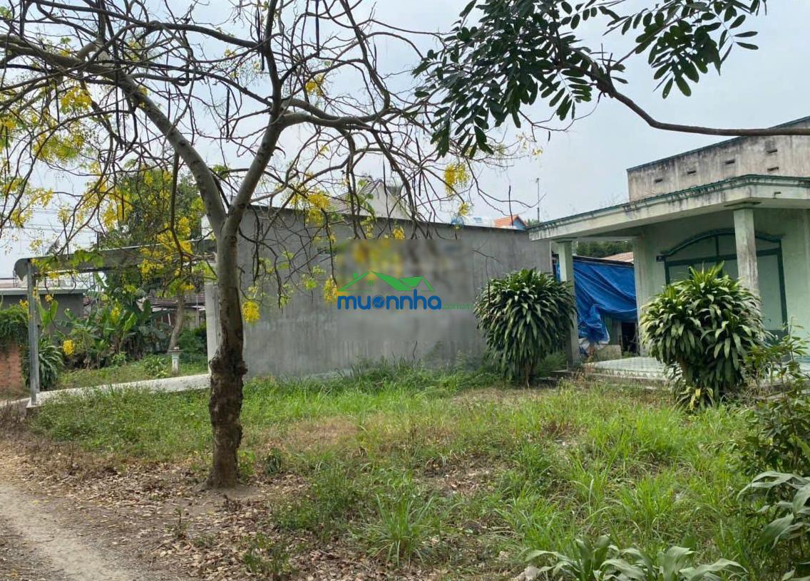 Bán đất phường tân uyên tp. hcm
