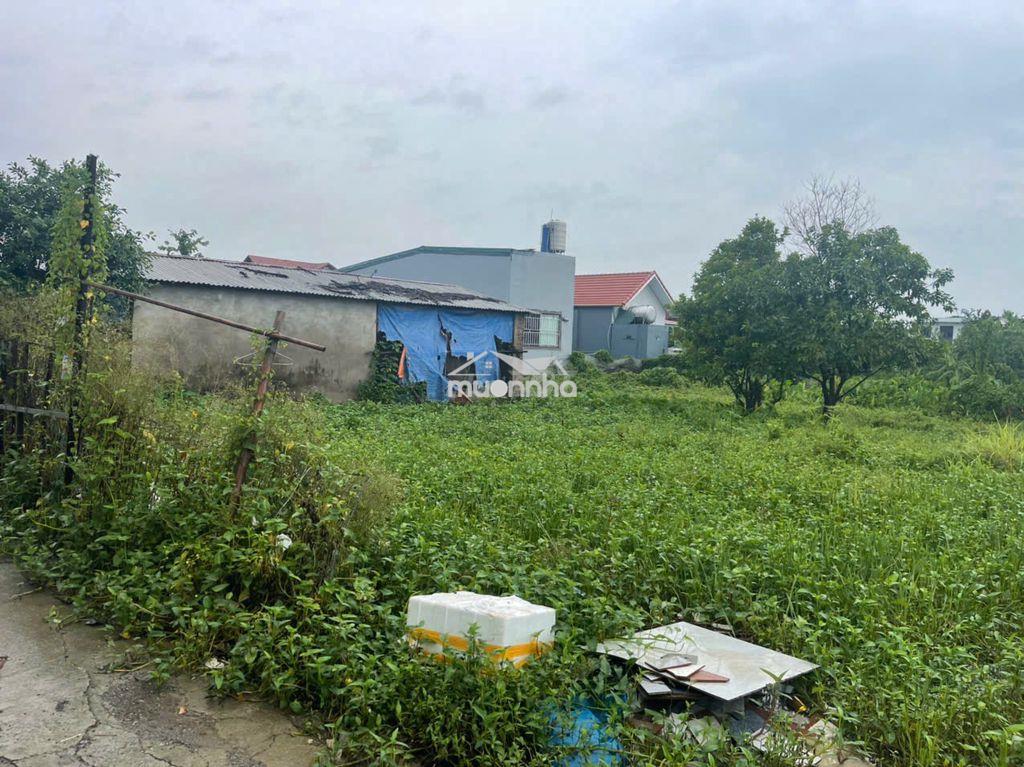 Bán đất chính chủ tại ngõ 18 thôn siêu quần xã tả thanh oai, thanh trì - 3