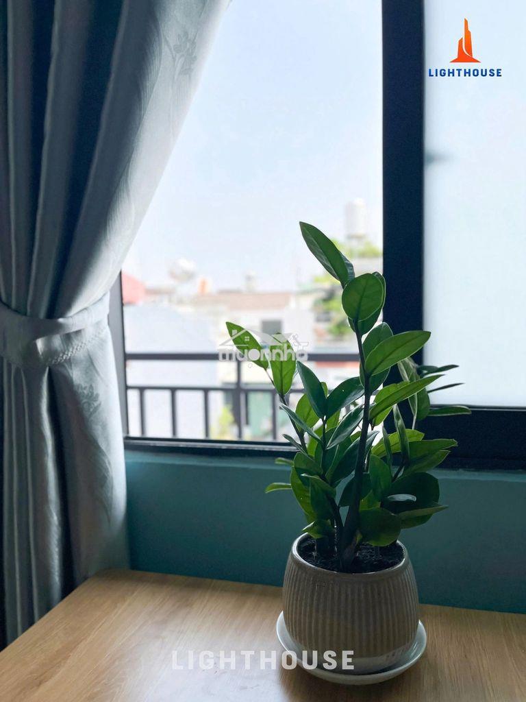 Nagy đh iuh, cv làng hoa, chợ hạnh thông tây thang máy full nt cchủ - 3