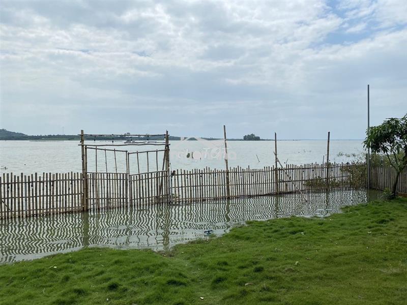 💥 Ôm trọn view hồ trị an 2.100m² – có 100m² thổ cư – chỉ 2 tỷ