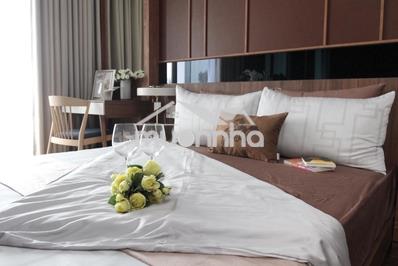 Cho thuê căn hộ view pháo hoa khu đô thị nhật - mizuki giá 11 tr - 3