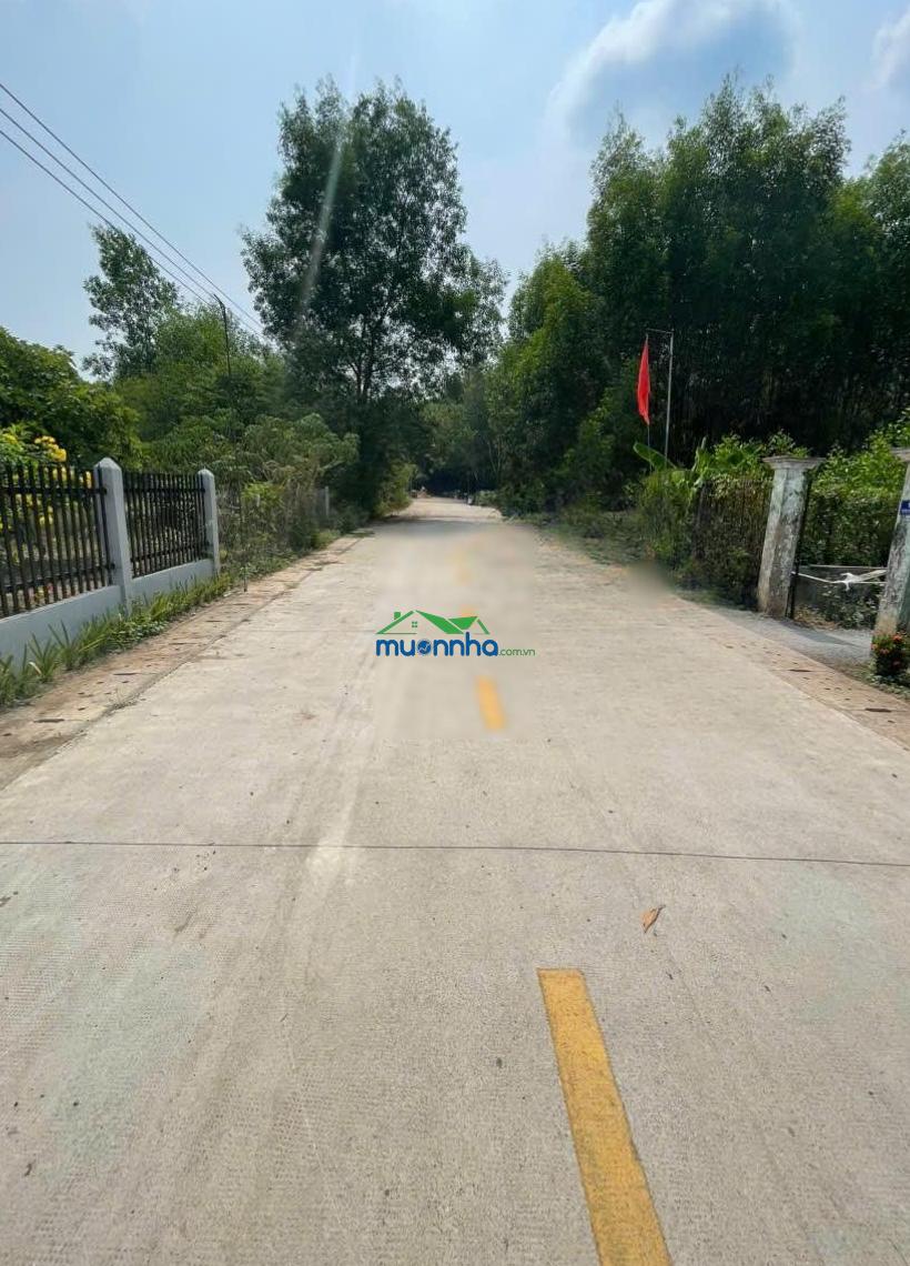 Chính chủ gửi bán đất đường tân thành 52 (288.6m² gần full thổ cư gần kcn, giá tốt) - 4