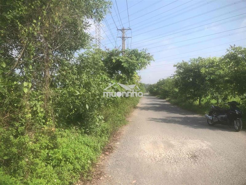 Bán đất mặt tiền đường nhựa xã thiện tân