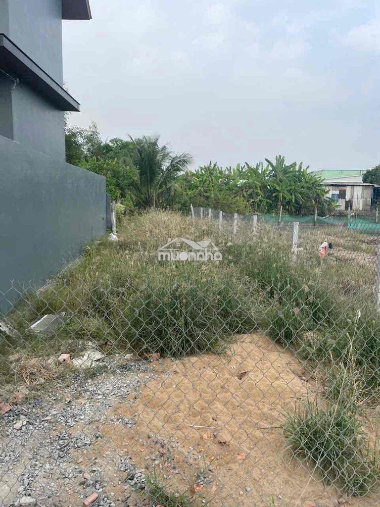 Bán đất cần giuộc