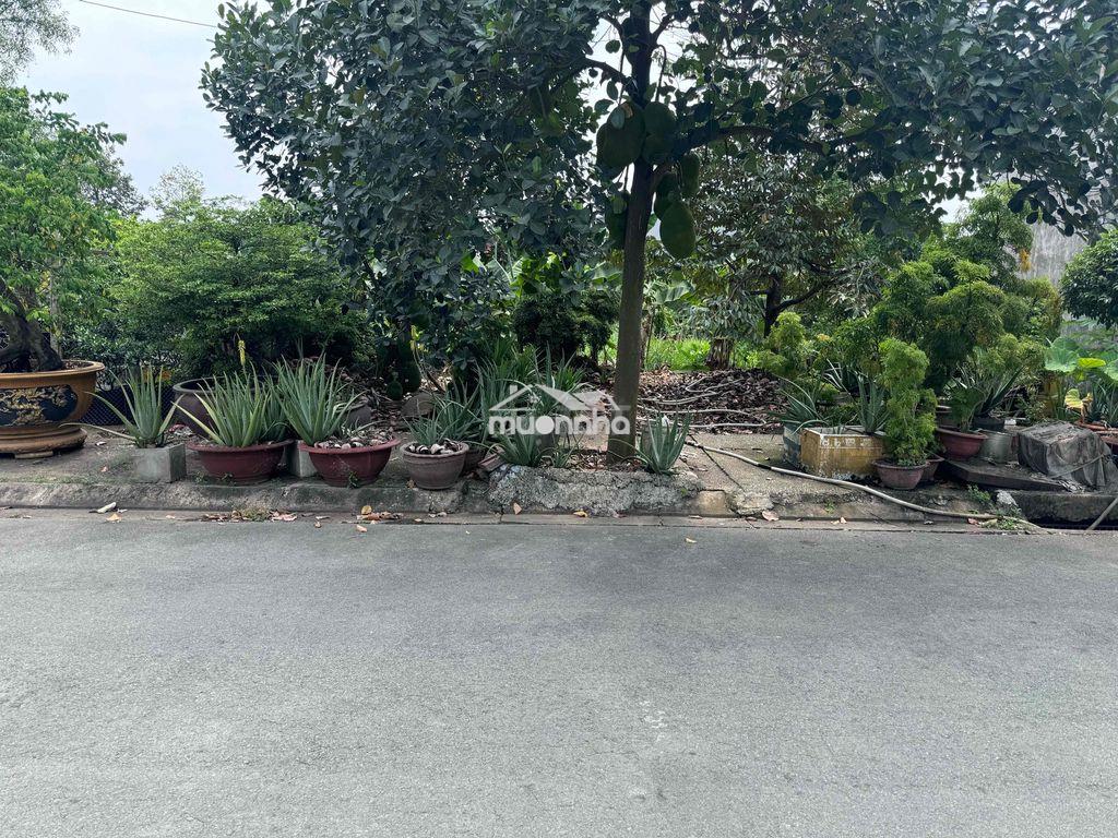 Bán đất chính chủ - 3