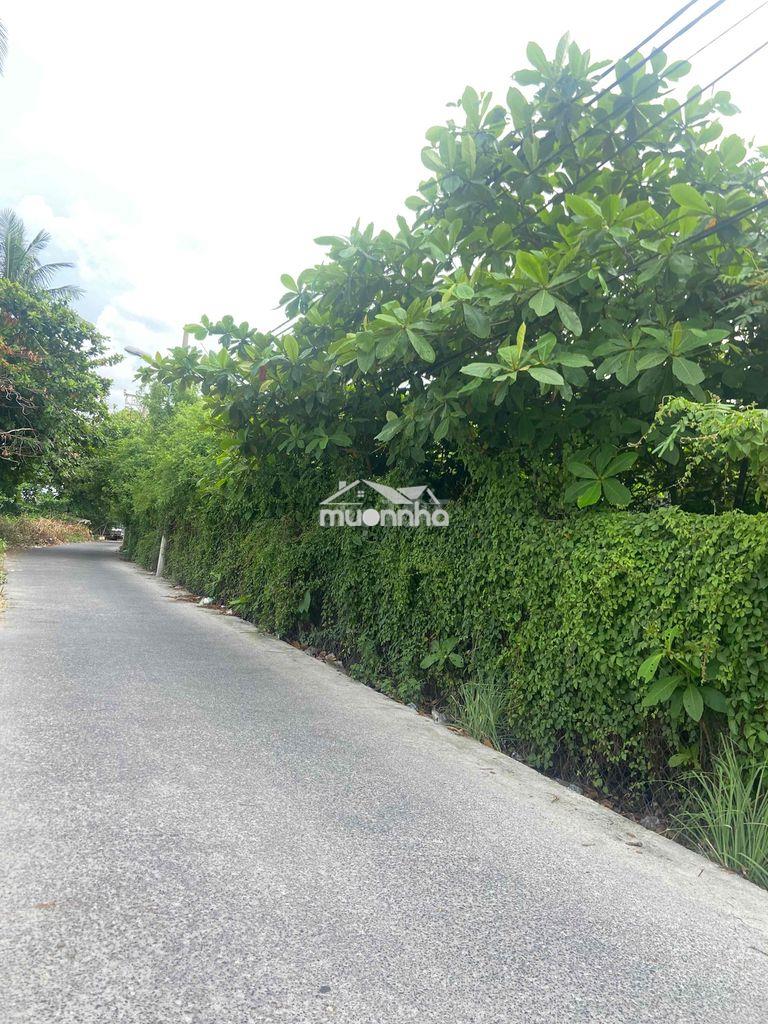 Cho thuê 5.000m2 đất mt - 75tr/tháng, đường nguyễn ngọc cung, quận 8