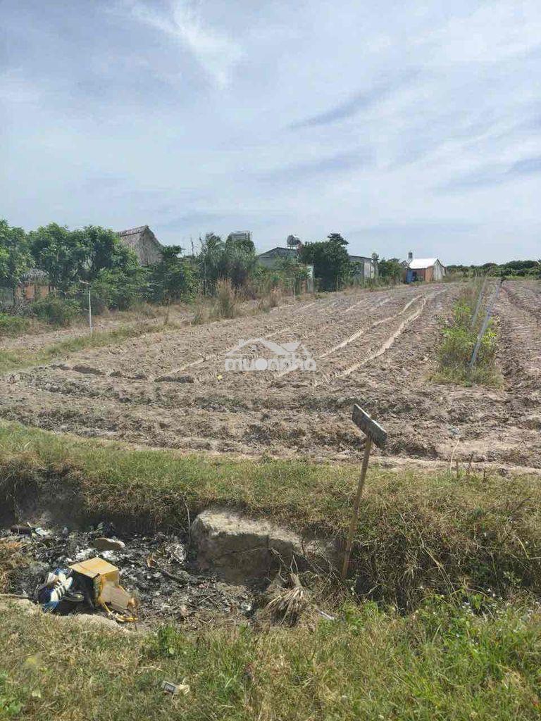 Đất tây ninh 1.058m2 745 triệu sh