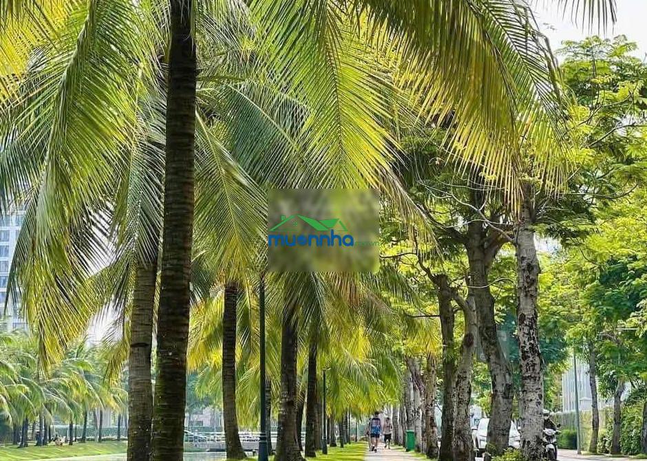 Cập nhật giỏ hàng căn hộ studio 1pn, 2pn, 2pn+, 3pn vinhomes grand park giá tốt nhất. chỉ từ 1,8 tỷ