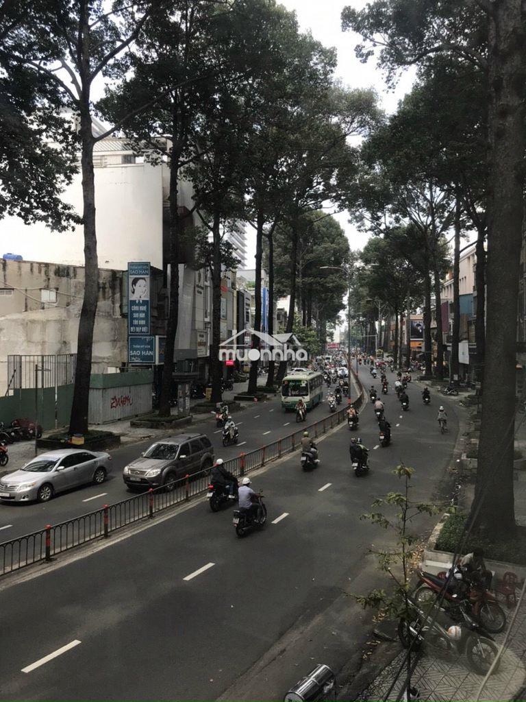 Nhà mặt tiền 3 tháng 2 quận 10 ngay hà đô centrosa - 4