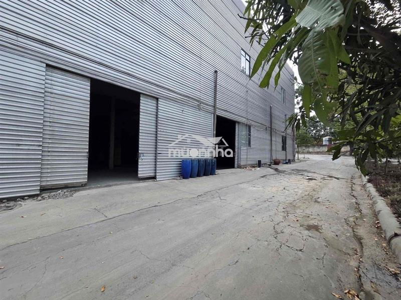 Chính chủ cho thuê xưởng mặt tiền đường mptv, phường thuận giao, hcm