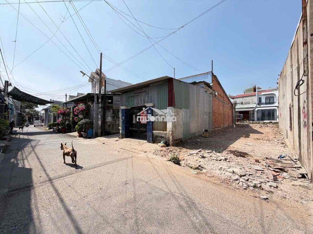 Em chính chủ cần bán lô đất mặt tiền p.tân phong,4,2x21=107,4m2, shr - 3