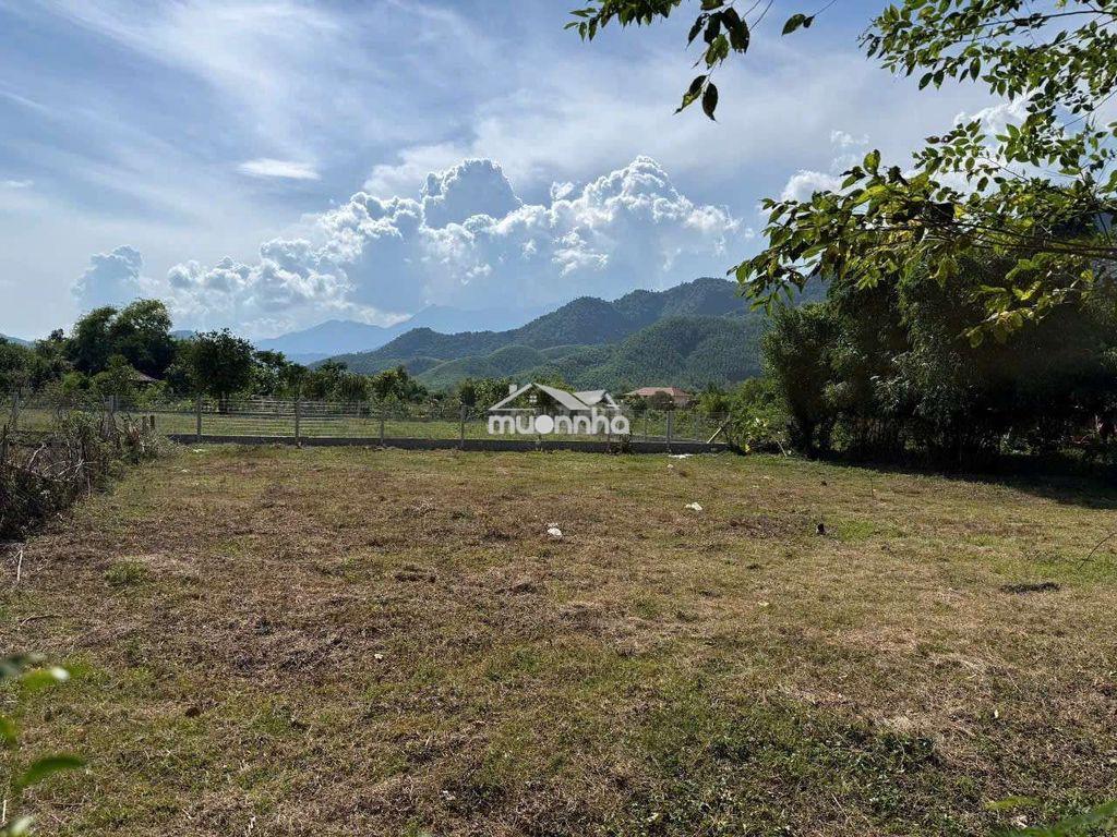 Đất làm homestay hòa bắc, 577m2 có 200m2 đất ở 2 mặt kiệt - 3