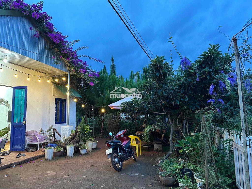 Cho thuê nhà và đất 2.000m2 - 3