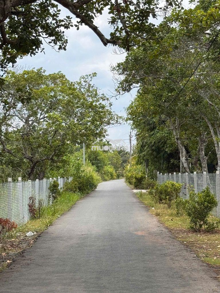 🎯 Bỏ phố lên núi - lô đất 360.7m² view núi chứa chan đầy tiềm năng! 🎯 - 4