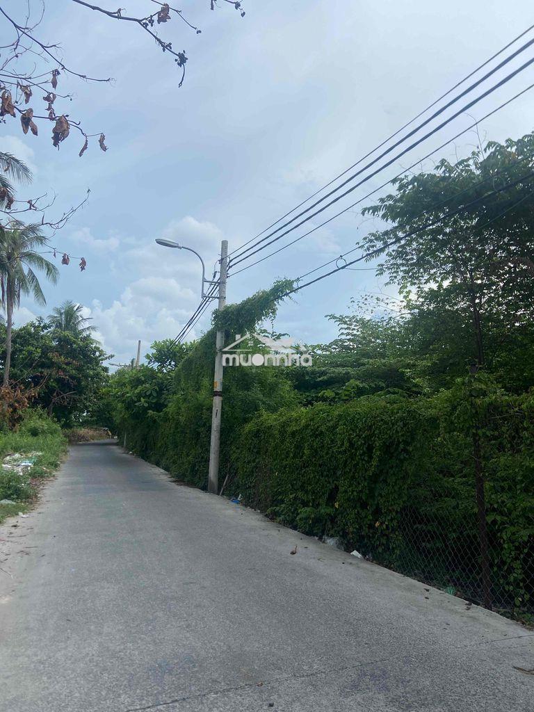 Cho thuê 5.000m2 đất mt - 75tr/tháng, đường nguyễn ngọc cung, quận 8 - 4