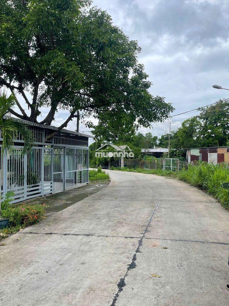 360m2 tại lê thị truyền. pva. giá 900tr. có thổ cư. xây dựng tự do - 3