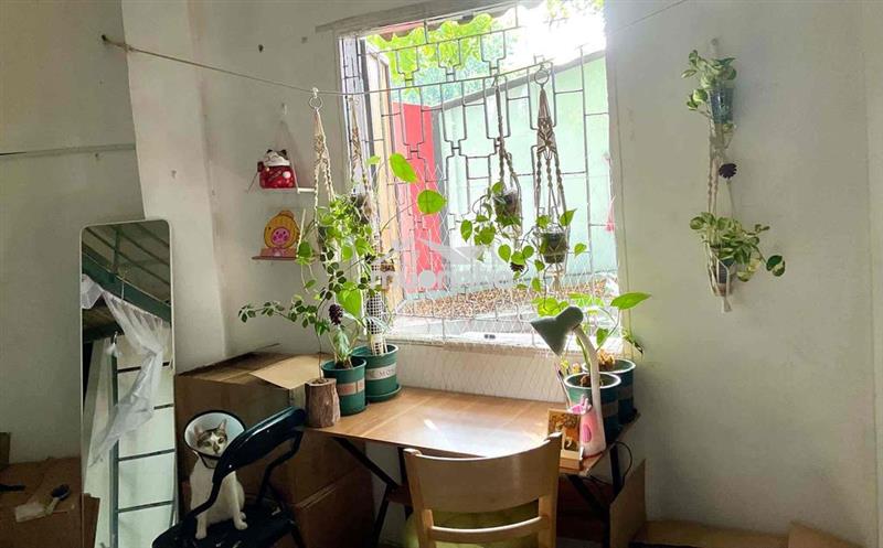 Duplex tân bình rộng rãi, thoáng mát