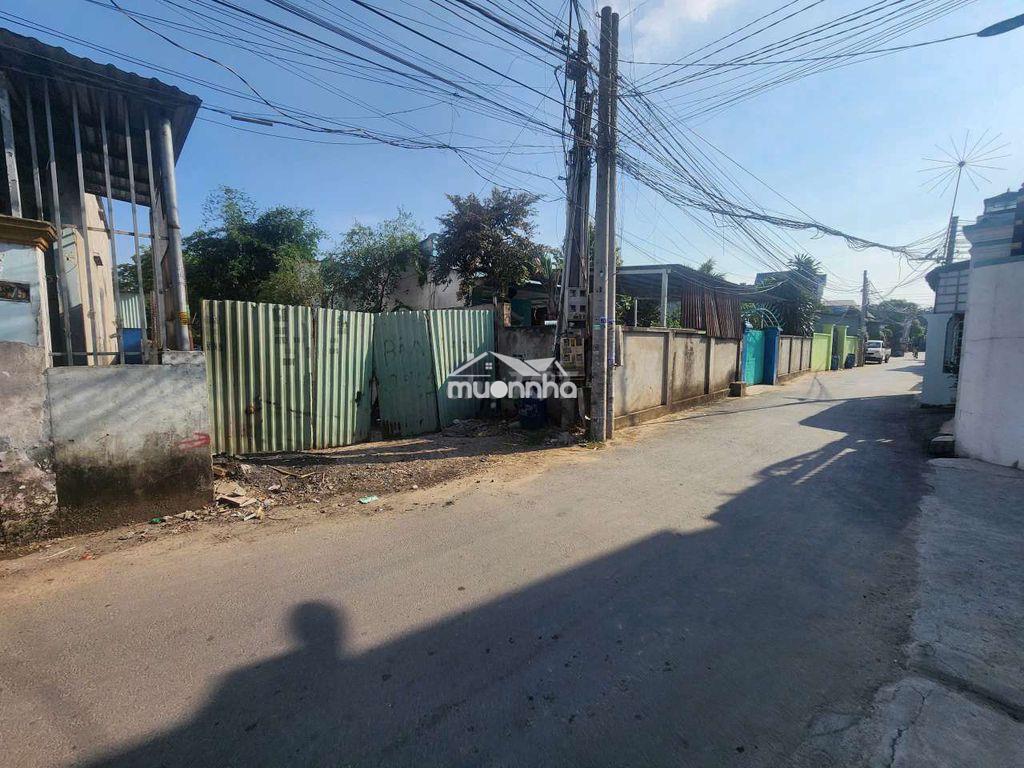 Bán đất bình chuẩn 67; tặng nhà cấp 4 100m2 - 3