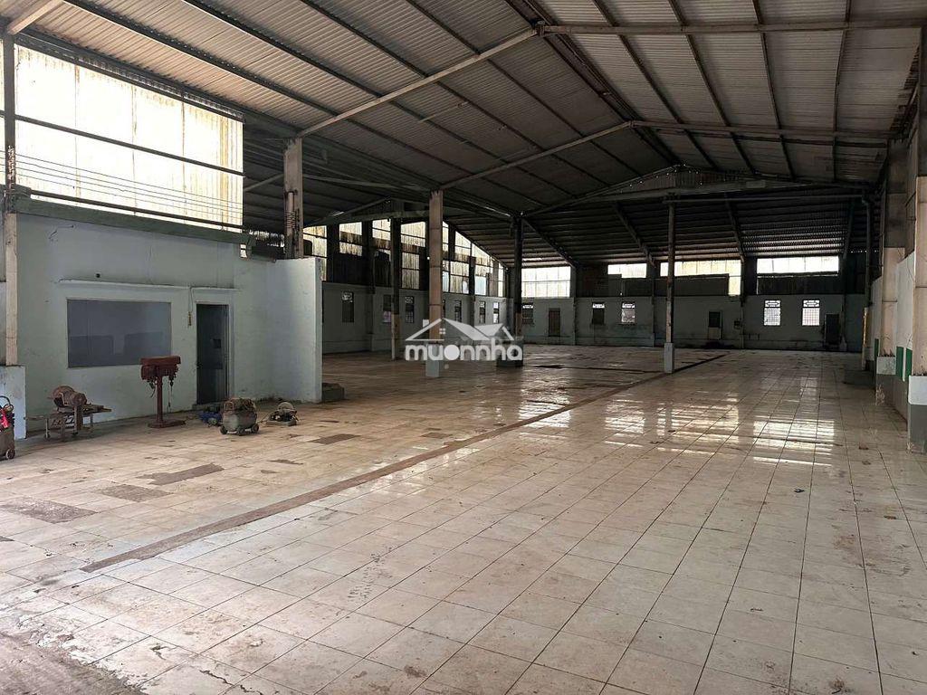 Xưởng thuận an 1000m/45tr có pccc đường cont - 2