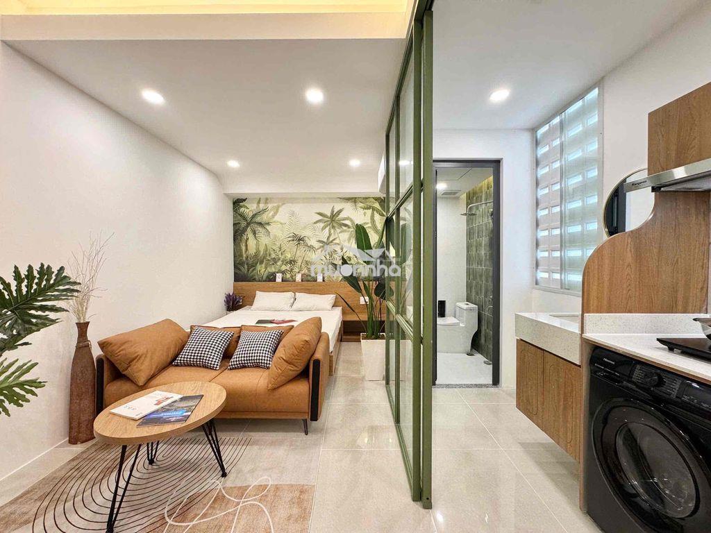 Khai trương siêu dự án hạt dẻ quận 10 - 2