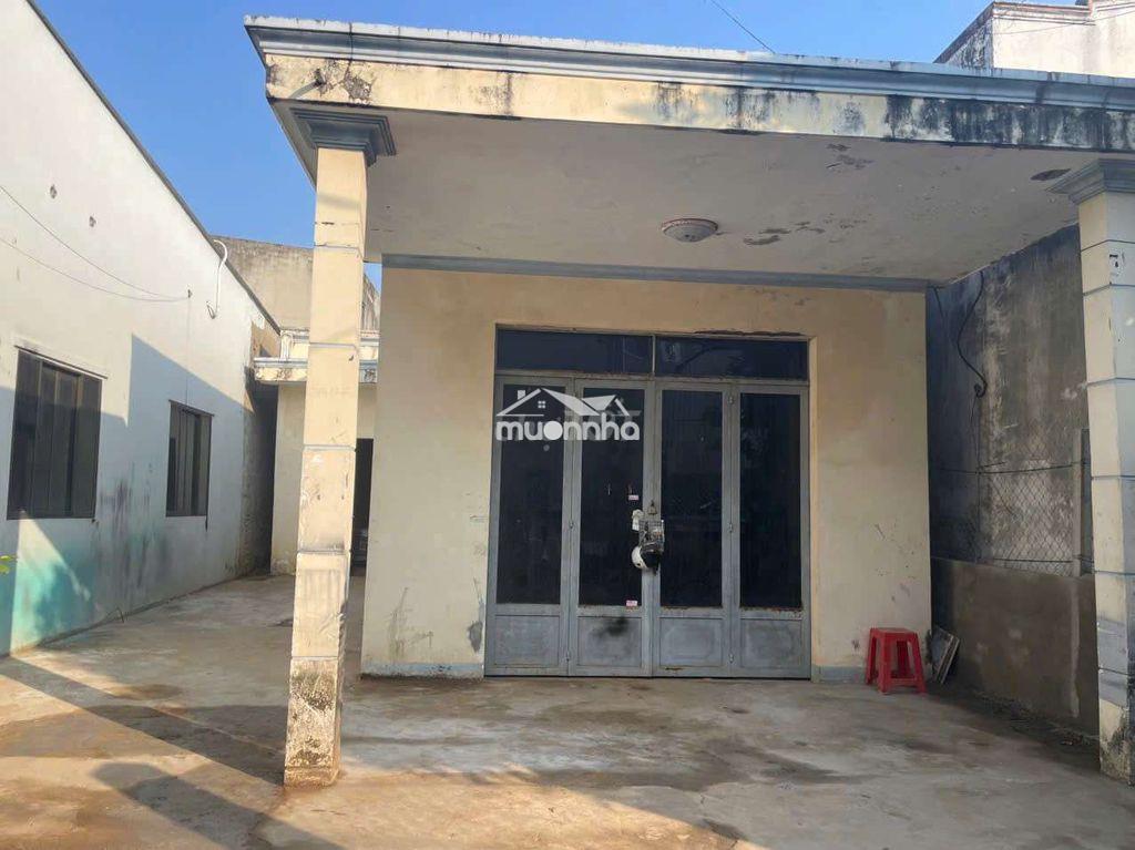 Bán nhà đất, thích hợp xây biệt thự vườn hoặc căn hộ dịch vụ, full thô - 3