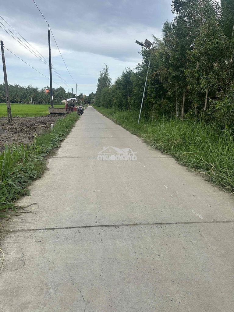 Đất nền đường bêtông 3m lò ngò tập ngãi vĩnh long