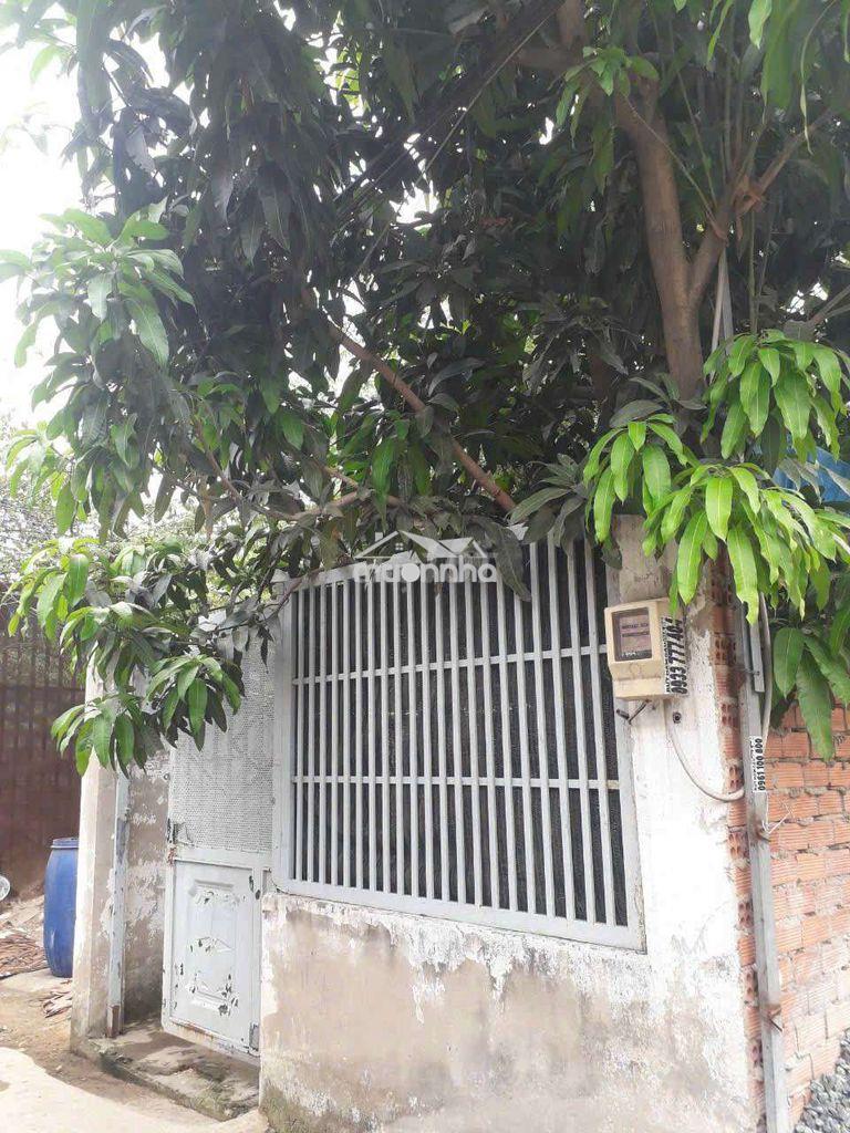 Nhà vườn quách điêu vĩnh lộc a