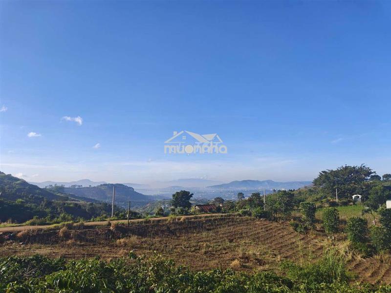 Nhà vườn săn mây nam ban lâm hà