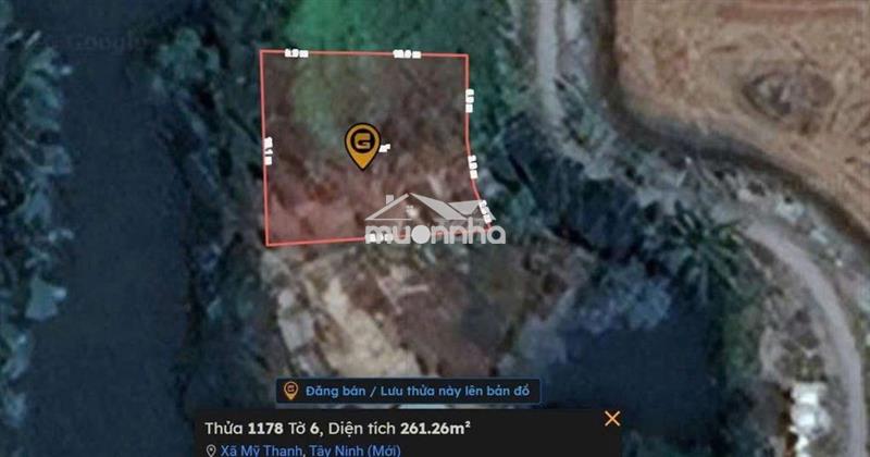 Bán đất thủ thừa chính chủ 244m2 giá 385tr