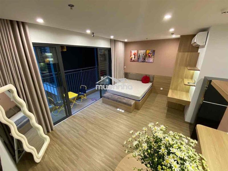 Cho thuê studio ban công phú mỹ hưng trung tâm quận 7