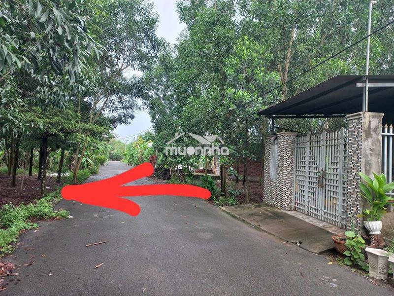 Đất 10x21 sổ riêng