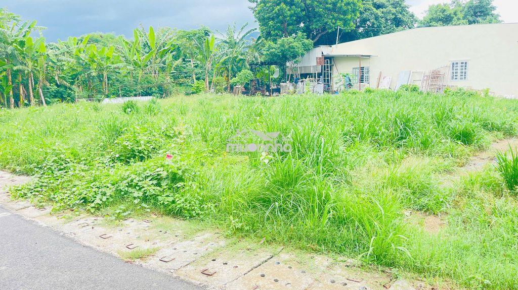 Bán đất phường phước hưng thành phố bà rịa vũng tàu - 4