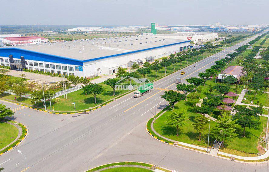 Cho thuê bãi 1500m2 tại khu cn đà nẵng - sẵn vp làm việc - 2