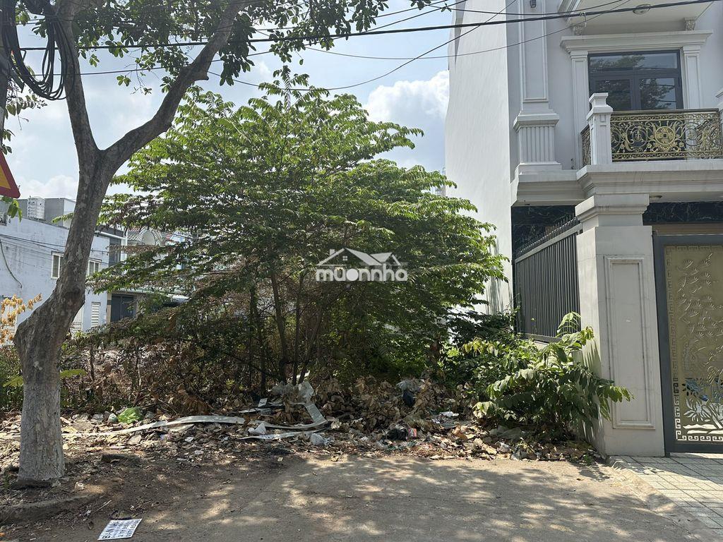 Đất mt đường nguyễn thị tồn, p.bửu hoà, 5m x 23m, sổ riêng, thổ cư - 3