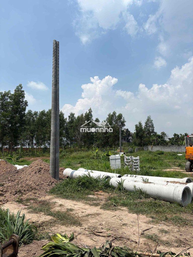 Qđất nền p.tân triều diện tích từ 75-100m2 pháp lý: sổ hồng riêng thổ - 2