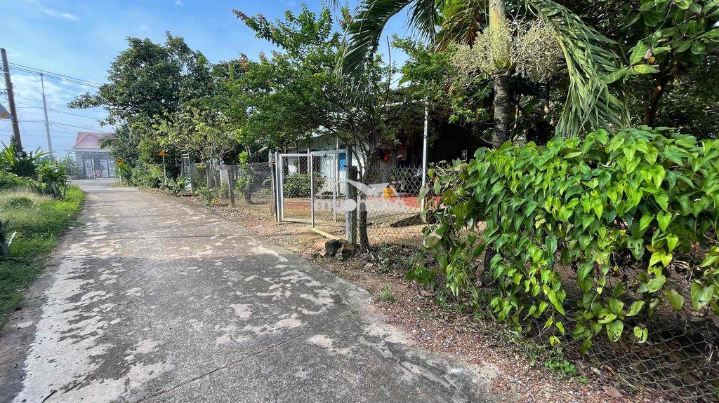 Bán đất hiếu liêm , cách hồ trị an 1km - 4