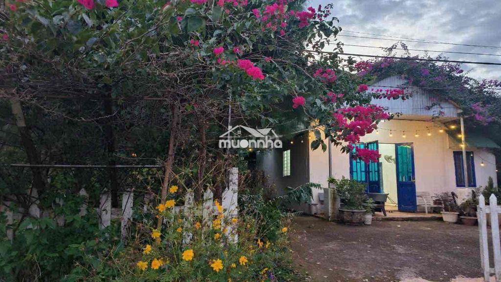 Cho thuê nhà và đất 2.000m2 - 2
