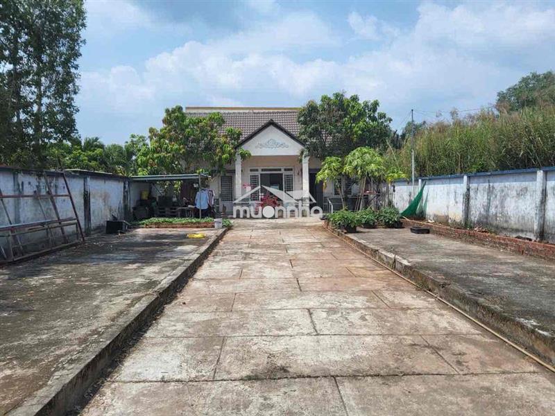 Bán nhà cấp 4 — đường trường lưu - 18 tỷ/440m2