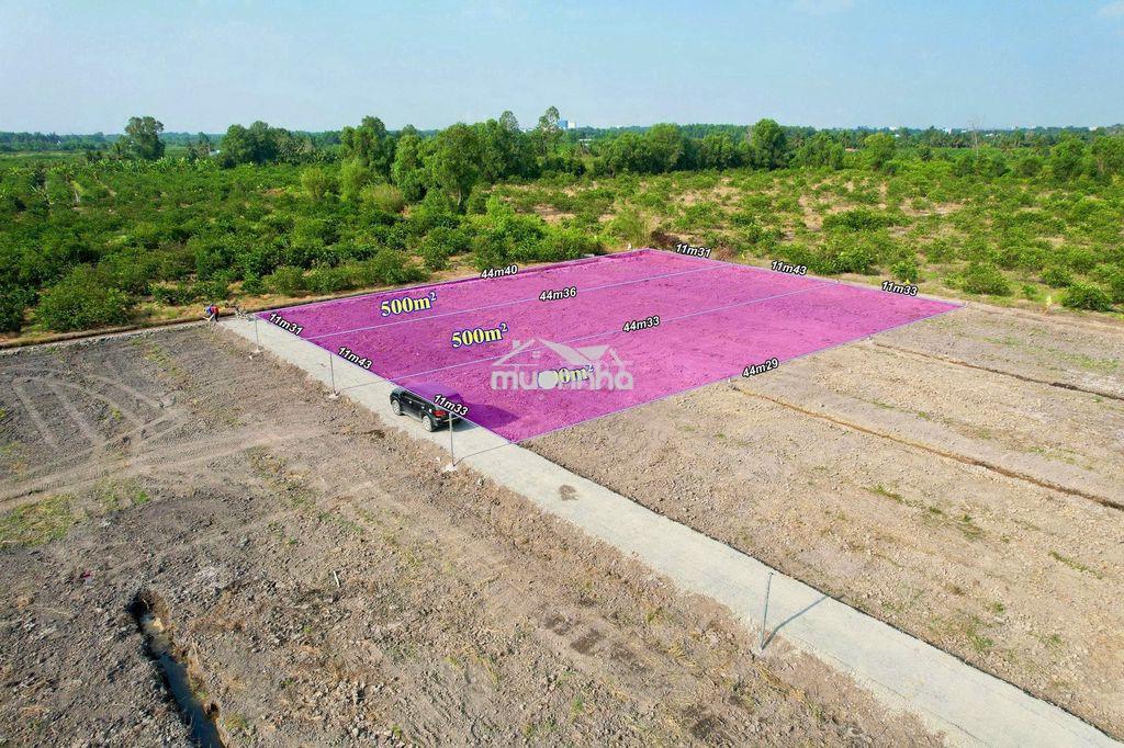 Siêu phẩm 500mv vườn giá 295 triệu trọn sổ đường 7 chỗ cần bán . - 4