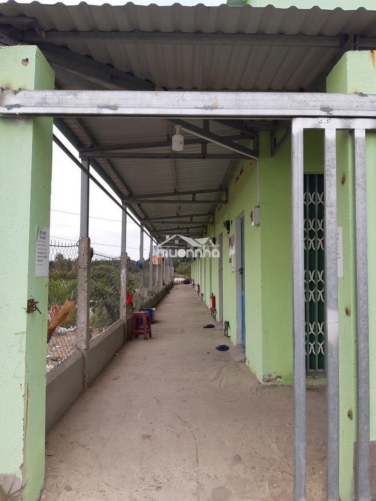 Nhà trọ giá rẻ 1 triệu, kdc bình khánh cần giờ - 2