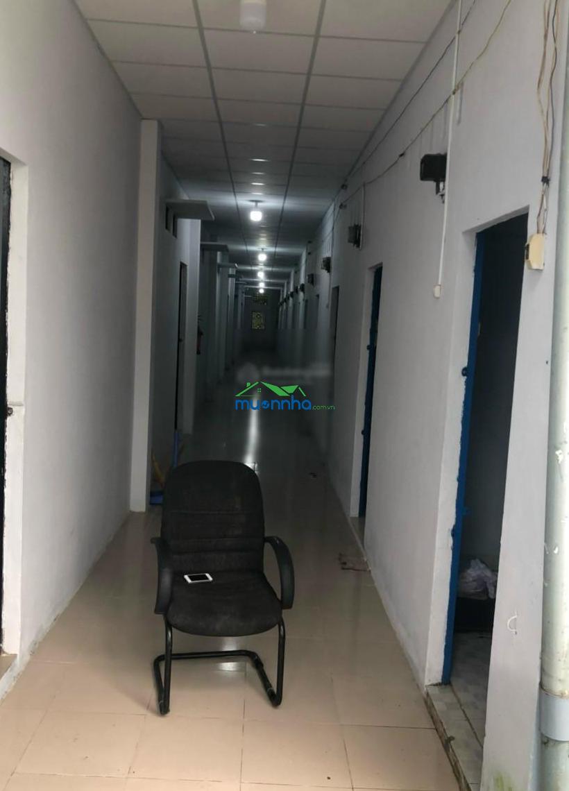 Nhà trệt lầu, hoàn công, đường bàu tre, tân an hội, củ chi, sổ riêng, 10x43=435m², 2.5 tỷ - 2