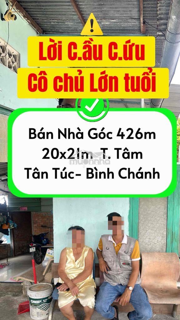 Bán gấp nhà góc 426m² trung tâm tân túc, bình chánh – có sẵn 2 căn nhà