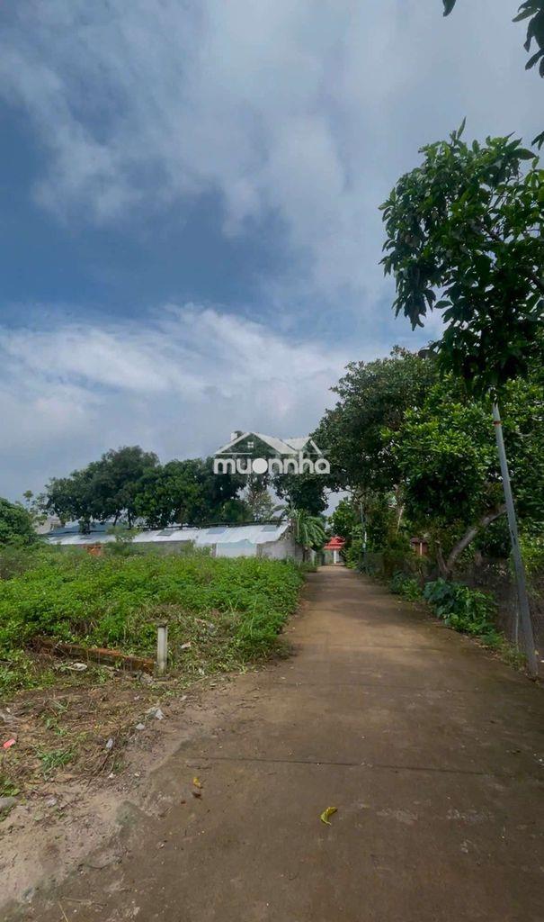 200m2 đất bảo vinh - long khánh gần chợ 