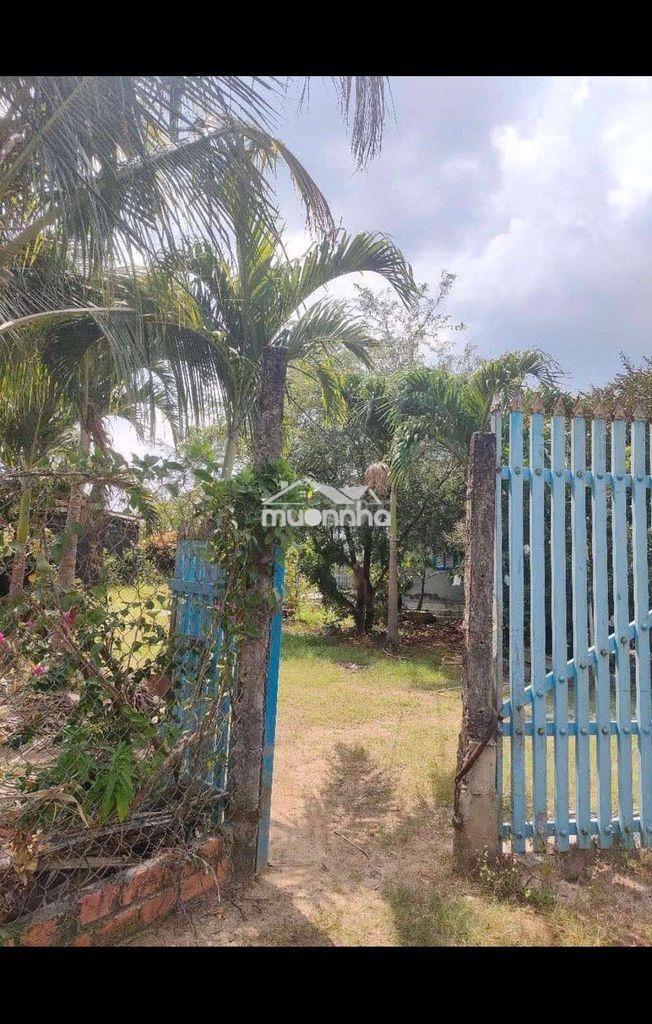 Cần bán đất gần khu du lịch núi bà đen - 4