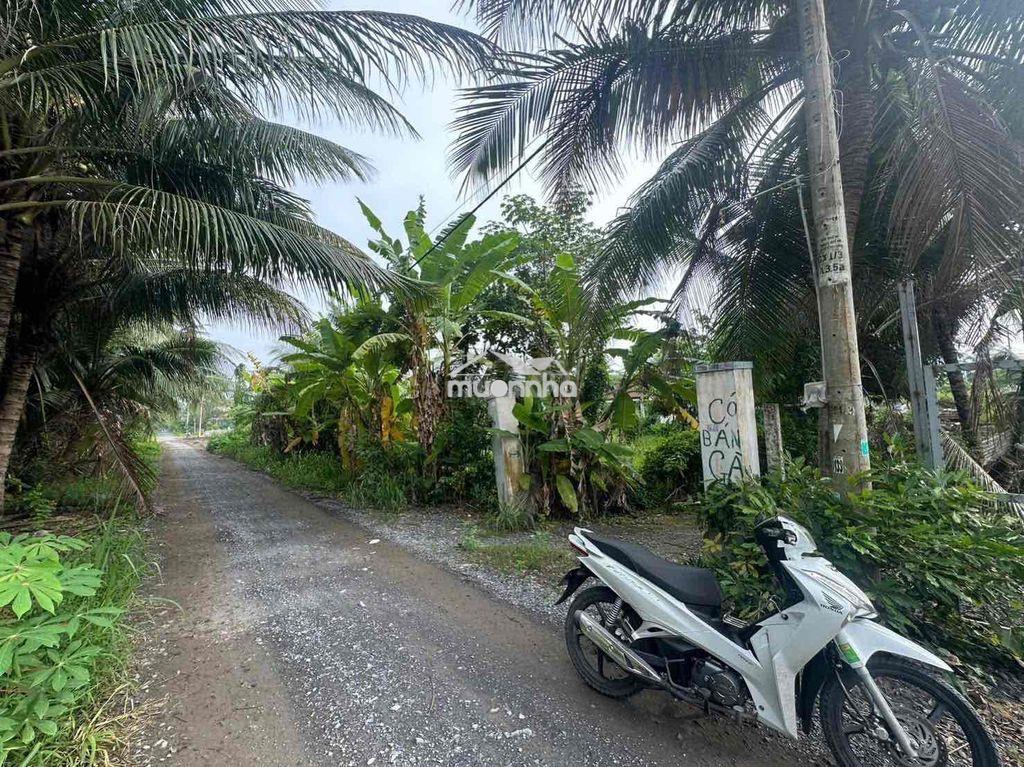 750m2 có 370m2 thổ cư mt đường kênh sáng xã lê minh xuân - 2