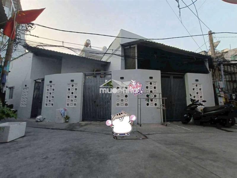 Mua 1 được 3 kinh dương vương bình tân